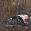 Photo: Serge Serebro/Vitebsk Popular News
