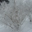 snow winter photo Clive Leviev-Sawyer