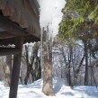 winter icicles snow photo Clive Leviev-Sawyer