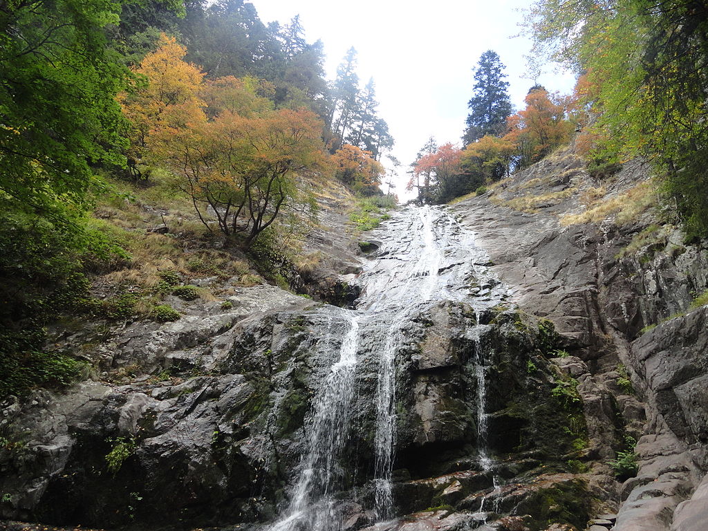 World Bank to help Bulgaria better protect its nature – The Sofia Globe