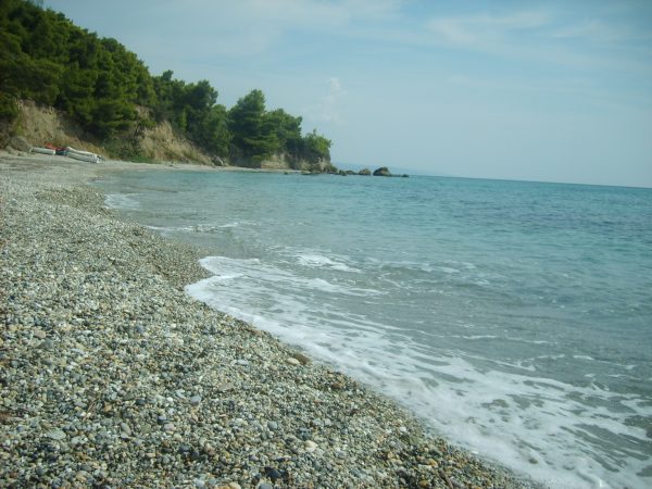 Beach, Halkidiki peninsula, Greece. Photo: (c) Clive Leviev-Sawyer