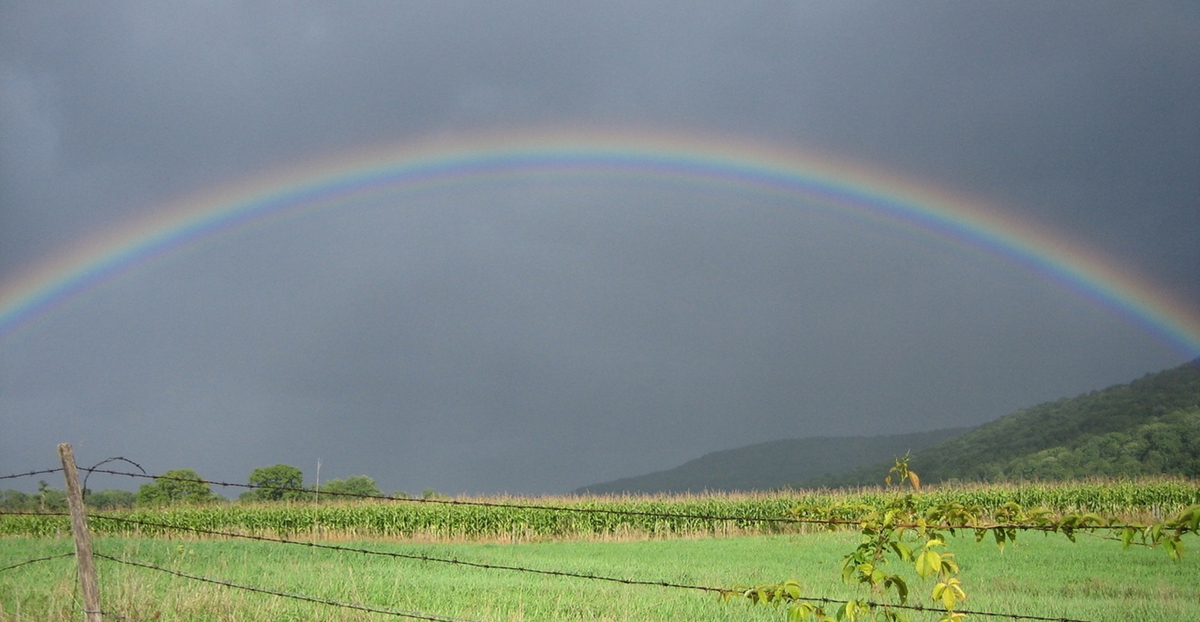 Bulgaria faces an Orthodox Easter long weekend of light rain, heavy traffic