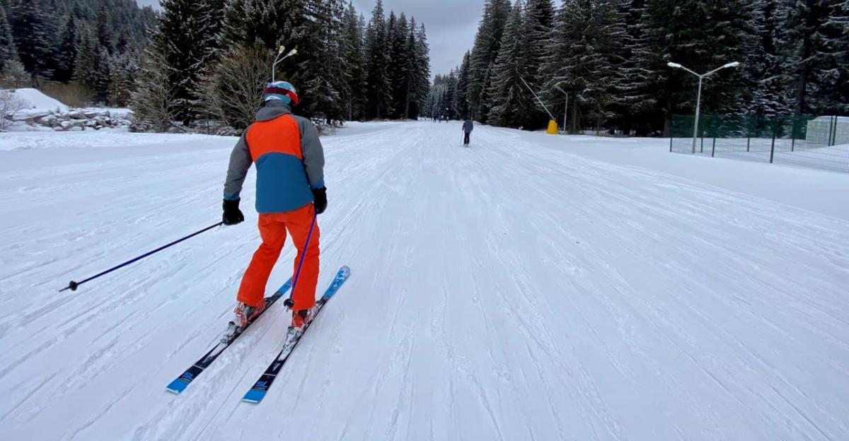 Foreign visitor arrivals for holidays in Bulgaria in February 2025 up 3.35% y/y