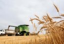 Fertiliser prices: European Parliament approves support for farmers