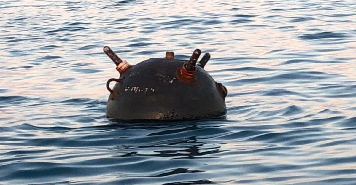 Bulgarian Navy Destroys Floating Sea Mine In Black Sea – The Sofia Globe