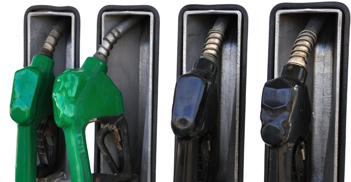 Bulgaria’s Parliament votes resolution limiting exports of some fuel products