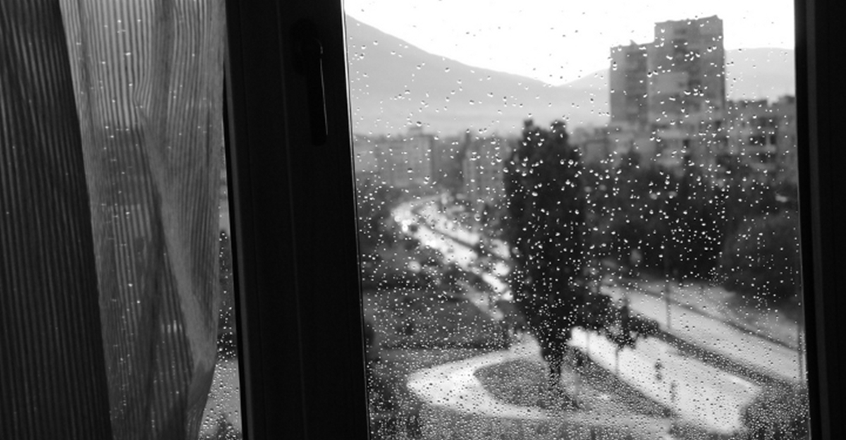 Bulgaria issues weather warnings for December 26 over forecasts of strong wind, heavy rain