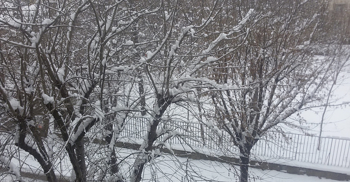 December 2024 in Bulgaria: Wettest since 2015, warmest since 2019