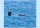 Bulgarian Navy destroys remnants of drone found drifting at sea