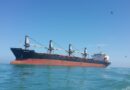 Bulgarian grain producers association: Ships have already refused to come to our ports for grain exports